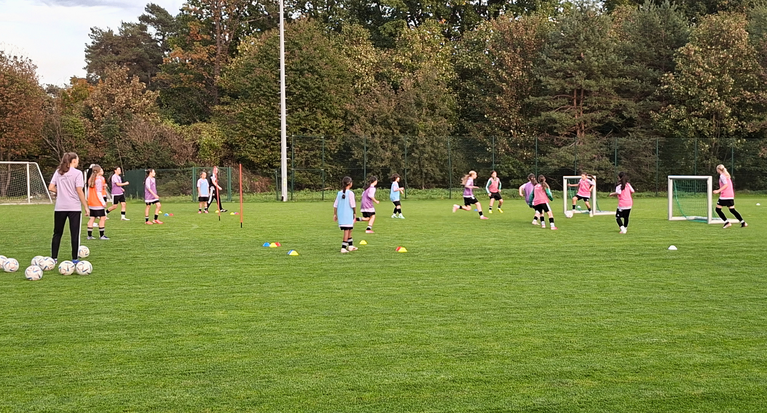 Angriffspressing im Fokus: Praxisnahe Fortbildung in der Sportschule Hennef